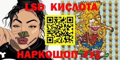 дмт Бердск