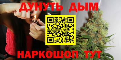 дмт Бердск