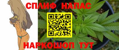 дмт Бердск