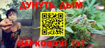 дмт Бердск