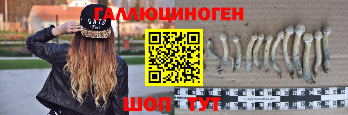 Галлюциногенные грибы прущие грибы  Вход с VPN  купить наркоту  Благодарный 